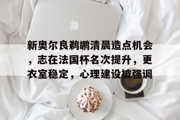 新奥尔良鹈鹕清晨造点机会，志在法国杯名次提升，更衣室稳定，心理建设被强调的简单介绍-九游APP下载